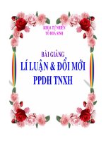 BÀI GIẢNG - Giáo dục Tiểu học - Võ Như Kim - Thư viện Bài giảng điện tử