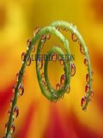 aldehyd ceton - Hóa học - Nguyễn Văn Liên - Thư viện Bài giảng điện tử