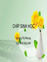 chíp sinh học - Sinh học - hoàng thị nhung - Thư viện Bài giảng điện tử