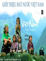 ppt2 - Giáo dục Tiểu học - Nguyễn Mai Phương - Thư viện Bài giảng điện tử