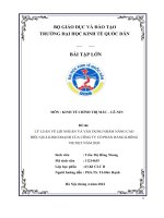 LÝ LUẬN về lợi NHUẬN và vận DỤNG NHẰM NÂNG CAO HIỆU QUẢ KINH DOANH của CÔNG TY cổ PHẦN HÀNG KHÔNG VIETJET năm 2020 