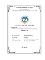 BÁO cáo THỰC tập TỔNG hợp đơn vị thực tập CÔNG TY cổ PHẦN đầu tư THƯƠNG mại và DỊCH vụ SHC VIỆT NAM 