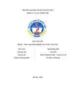 BÀI tập lớn đề bài  thực trạng doanh nghiệp vừa và nhỏ ở việt nam 