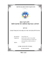 BÀI tập lớn môn KINH tế CHÍNH TRỊ mác LÊNIN đề tài lý luận về hàng hóa sức lao động của c mác  liên hệ thực tiễn việt nam 