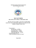 CƠ cấu xã hội – GIAI cấp và LIÊN MINH GIAI cấp, TẦNG lớp TRONG THỜI kỳ QUÁ độ lên CHỦ NGHĨA xã hội ở VIỆT NAM 
