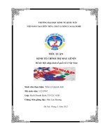 TIỂU LUẬN KINH tế CHÍNH TRỊ mác LÊNIN đề tài hội nhập kinh tế quốc tế ở việt nam 