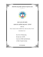 BÀI tập lớn môn KINH tế CHÍNH TRỊ mác  LÊNIN đề tài THỰC TRẠNG CÔNG NGHIỆP hóa, HIỆN đại hóa ở VIỆT NAM HIỆN NAY 