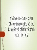 sinh lý sinh sản - Sinh học - Trần Thị Mỹ Hạnh - Thư viện Bài giảng điện tử