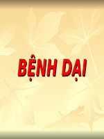 Bài giảng Bệnh dại