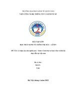 ĐỀ tài lý luận của chủ nghĩa mác – lênin về tích lũy tư bản (vốn) và liên hệ thực tiễn tại việt nam 