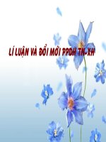 BÀI GIẢNG - Giáo dục Tiểu học - Võ Như Kim - Thư viện Bài giảng điện tử