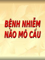 Bài giảng Bệnh nhiễm não mô cầu