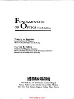 Optics jenkins and white 