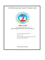 TIỂU LUẬN môn kinh tế chính trị mác – lênin đề tài hội nhập kinh tế quốc tế ở việt nam hiện nay 