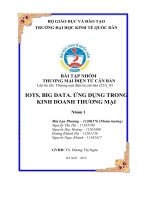 bÀI tập NHÓM THƯƠNG mại điện tử căn bản IOTS, BIG DATA  ỨNG DỤNG TRONG KINH DOANH THƯƠNG mại 