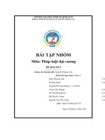 Phân tích hành vi vi phạm pháp luật và hành vi trái pháp luật  cho ví dụ minh họa phân tích cấu thành của vi phạm pháp luật 