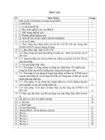 SKKN Một số giải pháp nâng cao chất lượng hoạt động kiểm tra nội bộ ở tổ Dịch vụTổng hợp thuộc Trung tâm GDNNGDTX huyện Quảng Xương