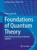 Foundations of quantum theory 