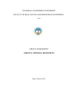 GROUP ASSIGNMENT GROUP 6 MINERAL RESOURCES current status of mineral resource in the world and in vietnam 