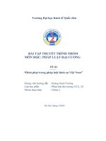 BÀI tập THUYẾT TRÌNH NHÓM môn học PHÁP LUẬT đại CƯƠNG đề tài hình phạt trong pháp luật hình sự việt nam 