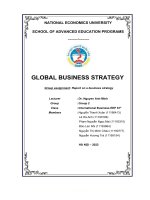 GLOBAL BUSINESS STRATEGY group assignment report on a business strategy 