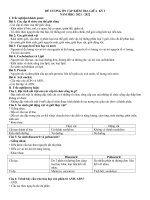 ĐỀ CƯƠNG ôn TẬP KIỂM TRA GIỮA  KỲ i   copy