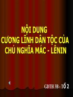 Noi dung cuong linh dan toc cua chu nghia Mac-Lenin