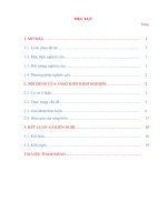 SKKN sử dụng sơ đồ tư duy giảng dạy tác phẩm văn học dân gian việt nam trong chương trình ngữ văn 10 