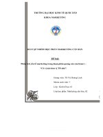 BÀI tập NHÓM học PHẦN MARKETING căn bản đề bài phân tích yếu tố marketing trong đoạn phim quảng cáo của knorr có vị nào hơn vị tết nhà 