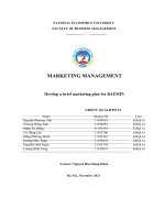 MARKETING MANAGEMENT develop a brief marketing plan for BAEMIN 