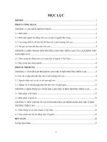 Tiểu luận an toàn lao động khi làm việc trên cao