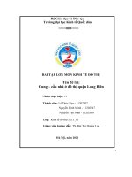 BÀI tập lớn môn KINH tế đô THỊ tên đề tài cung – cầu nhà ở đô thị quận long biên 