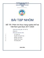 BÀI tập NHÓM đề tài phân tích thực trạng nghèo khổ tại việt nam giai đoạn 2011 2020 
