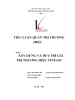 TIỂU LUẬN QUẢN TRỊ THƯƠNG HIỆU đề tài xây DỰNG và DUY TRÌ GIÁ TRỊ THƯƠNG HIỆU VINFAST 