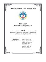 Chủ đề khảo sát và nghiên cứu hiện tượng trộn mã ngôn ngữ trong giao tiếp tiếng việt 