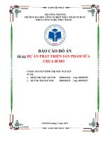 BÁO CÁO ĐỒ ÁN Đề tài DỰ ÁN PHÁT TRIỂN SẢN PHẨM SỮA  CHUA BÍ ĐỎ