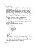 phúc lợi xã hội  Phúc lợi xã hội 1 Cơ sở lý luận Khái niệm Phúc lợi xã hội (Social benefits) là một bộ phận thu nhập quốc dân của xã hội