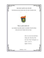 TIỂU LUẬN GIỮA kì tác ĐỘNG của điều KIỆN tự NHIÊN tới đời SỐNG văn HOÁ của THÀNH PHỐ hà nội 