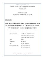 ĐỀ ÁN CUỐI KỲ MÔN HỆ THỐNG THÔNG TIN KẾ TOÁN UEH