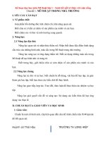 Giáo án môn Mĩ thuật 1 bộ sách kết nối tri thức với cuộc sống