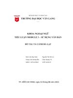 TIỂU LUẬN MODULE 3 – sử DỤNG văn bản đề tài tả CẢNH đà lạt 