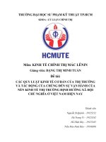 CÁC QUY LUẬT KINH tế cơ bản của THỊ TRƯỜNG và tác ĐỘNG của CHÚNG đến sự vận HÀNH của nền KINH tế THỊ TRƯỜNG ĐỊNH HƯỚNG xã hội CHỦ NGHĨA ở VIỆT NAM HIỆN NAY 