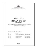 BÁO CÁO ĐỒ ÁN CƠ SỞ ĐỀ TÀI Tìm hiểu giao thức Open Shortest Path First (OSPF) trên router Juniper