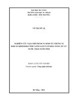 Nghiên cứu tạo chế phẩm vi sinh từ chủng vi khuẩn rhodobacter capsulatus có khả năng xử lý nước thải nuôi tôm 