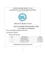 MÔN QUẢN TRỊ học căn bản đề tài tìm HIỂU môi TRƯỜNG VI mô và vĩ mô của VINGROUP 
