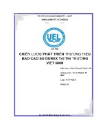 CHIẾN lượ THƯƠNG HIỆ c PHÁT TRIỂN u BAO CAO SU DUREX t i TH NG ạ ị TRƯỜ VIỆT NAM 