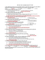 Đề thi trắc nghiệm kinh tế vĩ mô có đáp án 