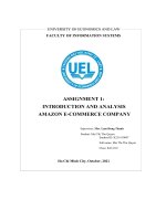 ASSIGNMENT 1 INTRODUCTION AND ANALYSIS AMAZON e COMMERCE COMPANY 