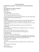 Bài 9. Các dân tộc, sự phân bố dân cư