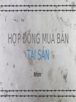 Thuyết trình về Hợp đồng mua bán tài sản (LDS)